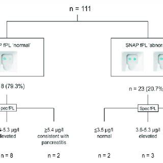 snap fpl results|SNAP fPL Test (feline pancreas.